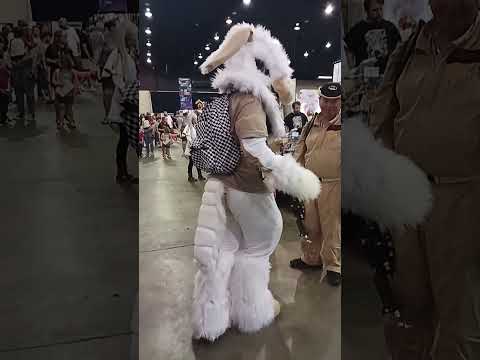 Siesta Con 2025 Furry Bunny Wednesday Fester #furries #fursuit